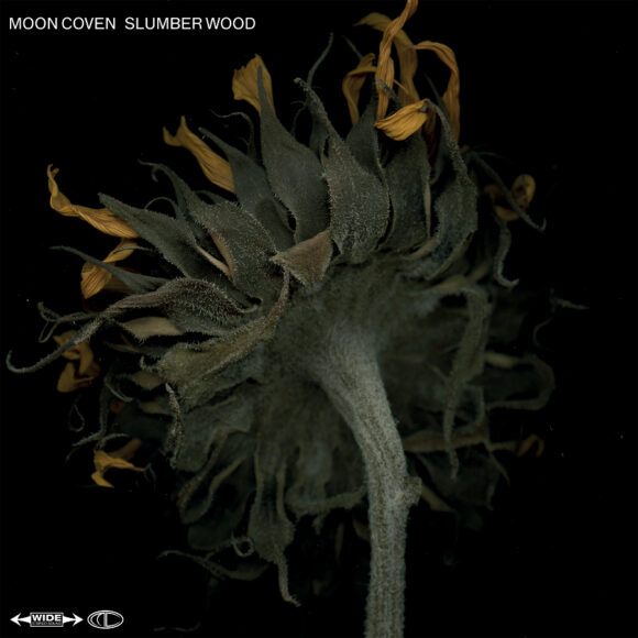 Moon Coven – Slumber Wood